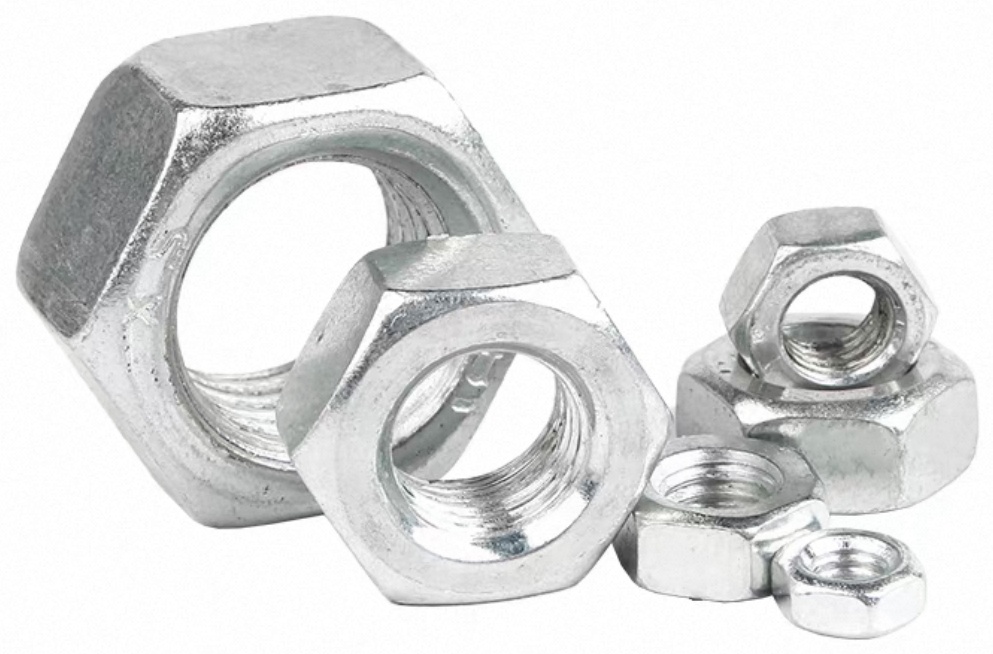 Stainless Steel Hex Nut